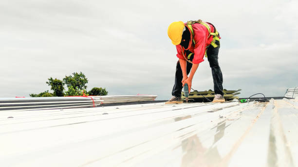 Best Emergency Roof Repair Services  in Vienna, GA